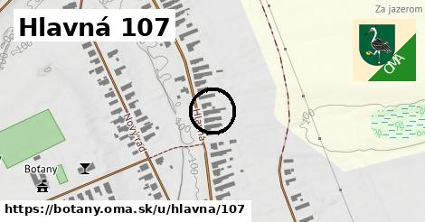 Hlavná 107, Boťany