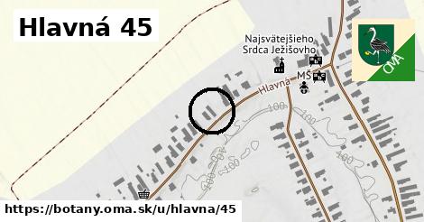 Hlavná 45, Boťany