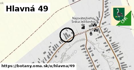 Hlavná 49, Boťany