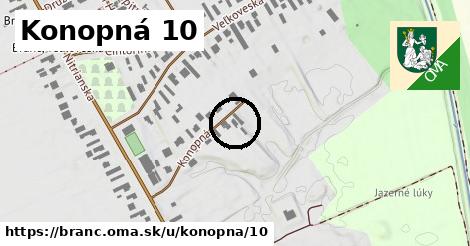 Konopná 10, Branč