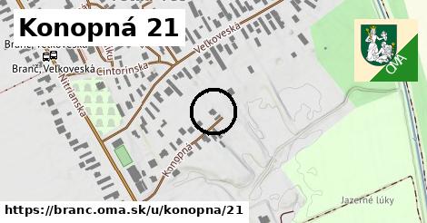 Konopná 21, Branč