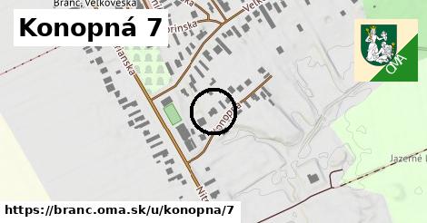 Konopná 7, Branč