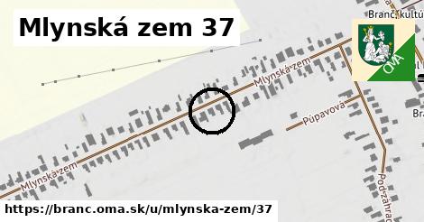 Mlynská zem 37, Branč