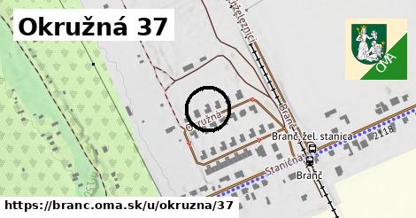 Okružná 37, Branč
