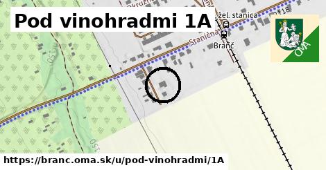 Pod vinohradmi 1A, Branč