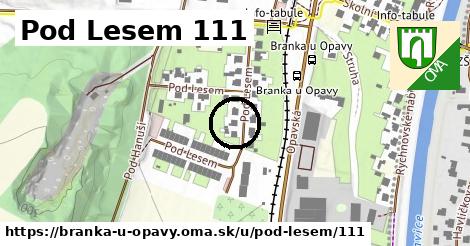 Pod Lesem 111, Branka u Opavy