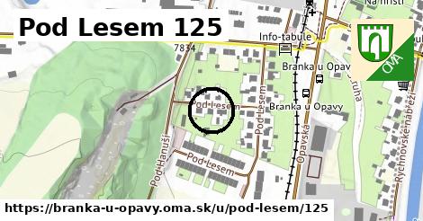 Pod Lesem 125, Branka u Opavy