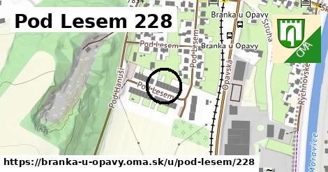 Pod Lesem 228, Branka u Opavy