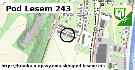 Pod Lesem 243, Branka u Opavy