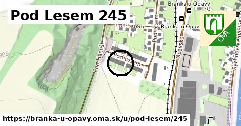 Pod Lesem 245, Branka u Opavy