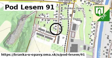 Pod Lesem 91, Branka u Opavy