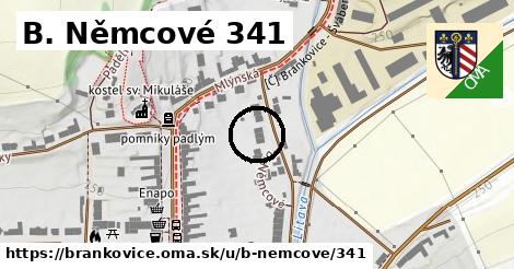 B. Němcové 341, Brankovice