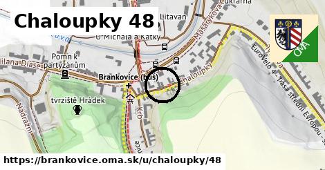 Chaloupky 48, Brankovice