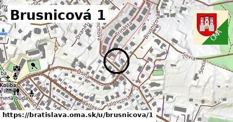 Brusnicová 1, Bratislava