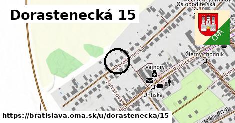 Dorastenecká 15, Bratislava