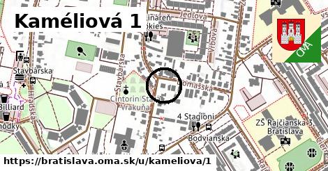 Kaméliová 1, Bratislava