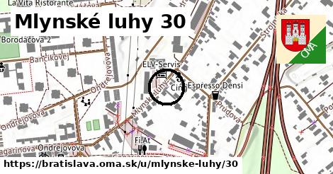 Mlynské luhy 30, Bratislava