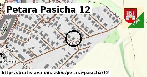 Petara Pasicha 12, Bratislava