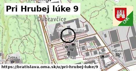 Pri Hrubej lúke 9, Bratislava