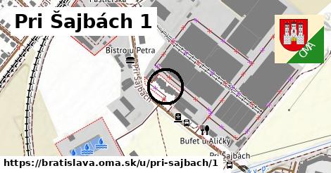 Pri Šajbách 1, Bratislava