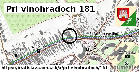 Pri vinohradoch 181, Bratislava