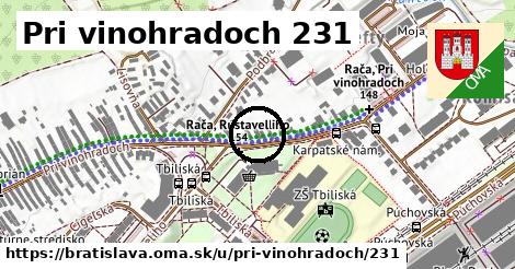 Pri vinohradoch 231, Bratislava