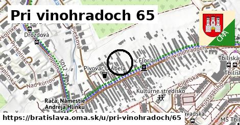 Pri vinohradoch 65, Bratislava