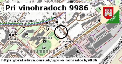 Pri vinohradoch 9986, Bratislava