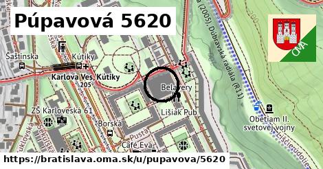 Púpavová 5620, Bratislava