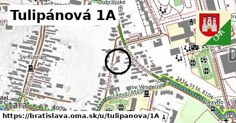 Tulipánová 1A, Bratislava