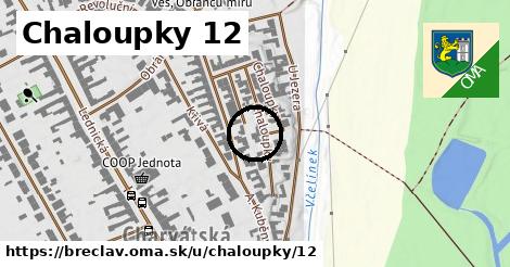 Chaloupky 12, Břeclav