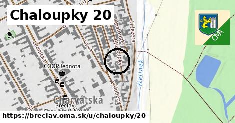 Chaloupky 20, Břeclav