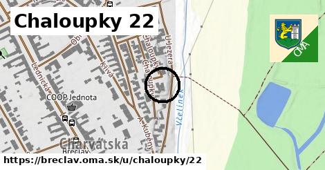 Chaloupky 22, Břeclav