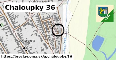 Chaloupky 36, Břeclav