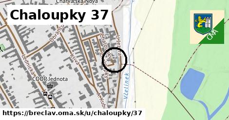 Chaloupky 37, Břeclav