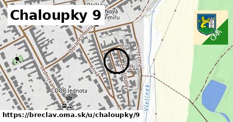 Chaloupky 9, Břeclav