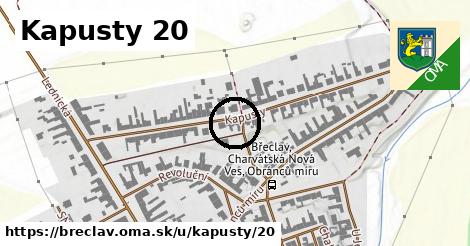 Kapusty 20, Břeclav