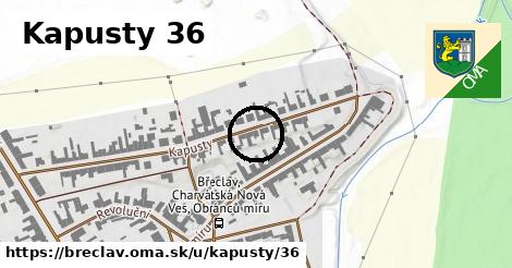 Kapusty 36, Břeclav