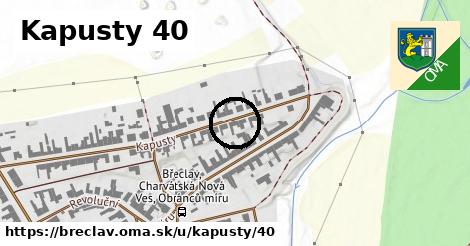 Kapusty 40, Břeclav