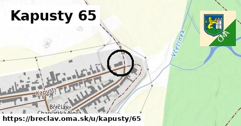 Kapusty 65, Břeclav