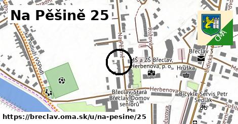 Na Pěšině 25, Břeclav