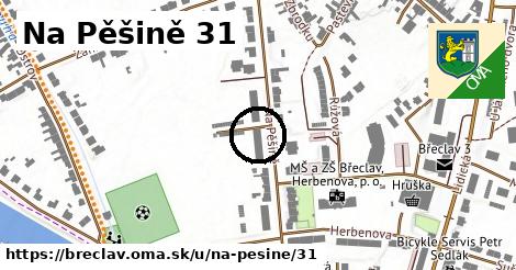 Na Pěšině 31, Břeclav