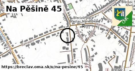 Na Pěšině 45, Břeclav