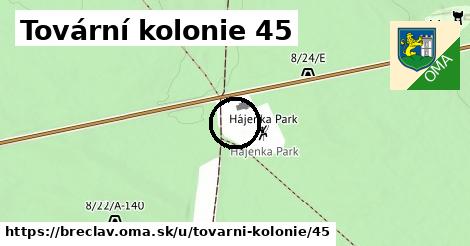 Tovární kolonie 45, Břeclav