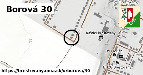 Borová 30, Brestovany