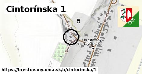 Cintorínska 1, Brestovany