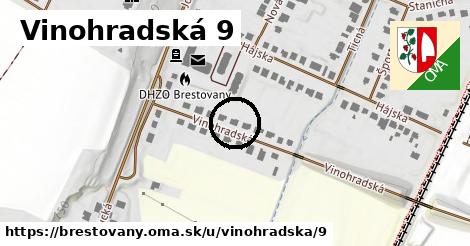 Vinohradská 9, Brestovany