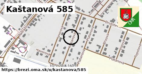 Kaštanová 585, Březí