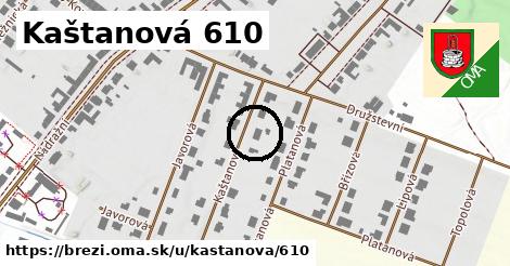 Kaštanová 610, Březí