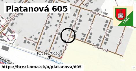 Platanová 605, Březí